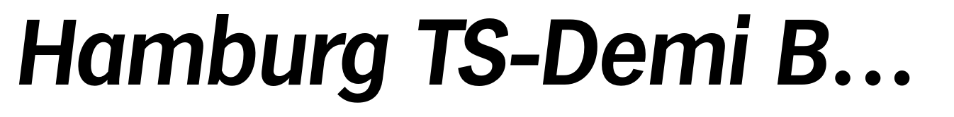Hamburg TS-Demi Bold Italic